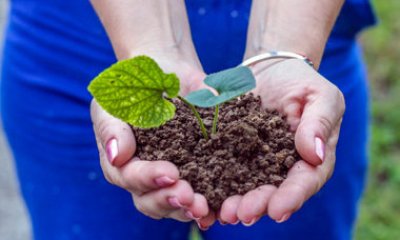 Ministry of Agriculture and Rural Affairs: will implement three measures to promote the transformation of food and agricultural system