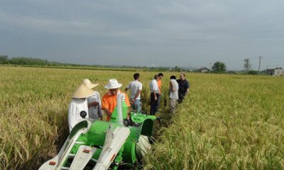 China's agricultural mechanization promotes rapid development